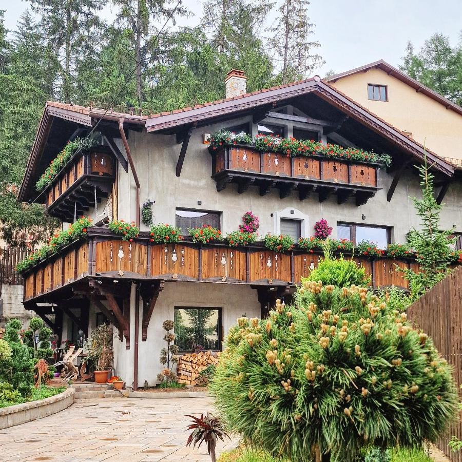 Amor Tirol Busteni (Adults Only) المظهر الخارجي الصورة