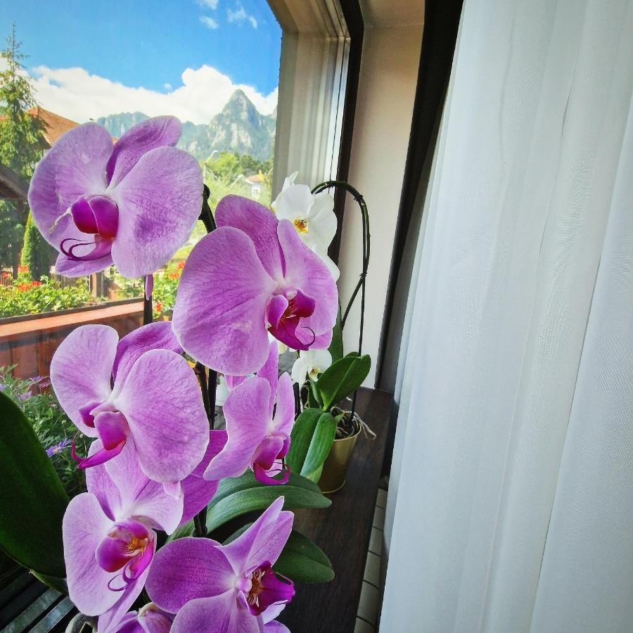 Amor Tirol Busteni (Adults Only) المظهر الخارجي الصورة