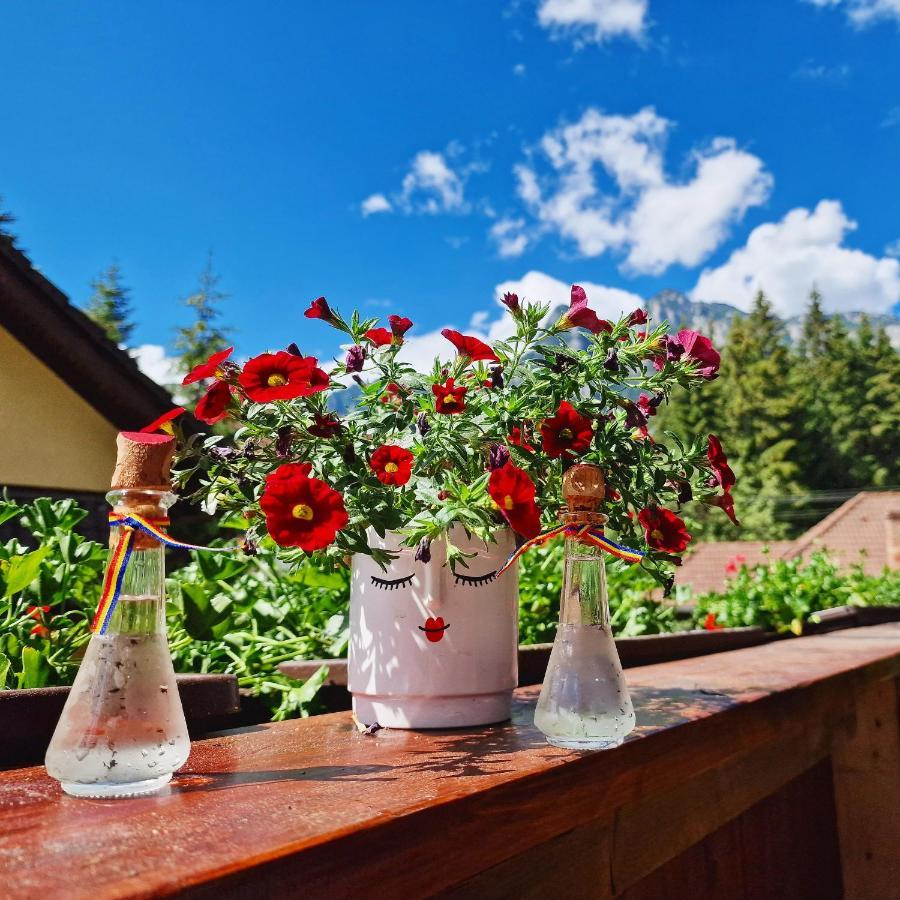 Amor Tirol Busteni (Adults Only) المظهر الخارجي الصورة