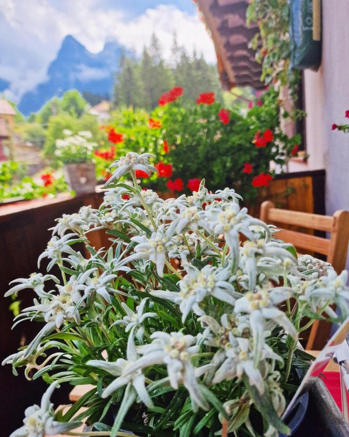 Amor Tirol Busteni (Adults Only) المظهر الخارجي الصورة