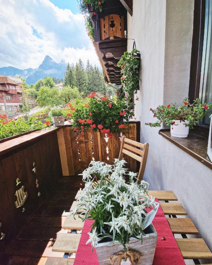 Amor Tirol Busteni (Adults Only) المظهر الخارجي الصورة