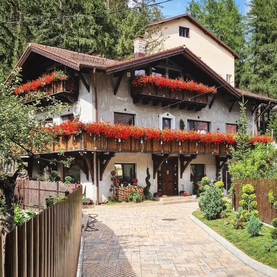 Amor Tirol Busteni (Adults Only) المظهر الخارجي الصورة