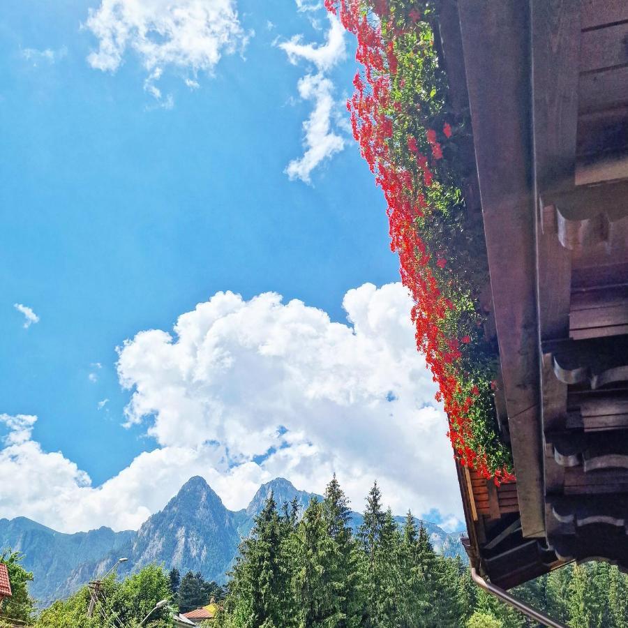 Amor Tirol Busteni (Adults Only) المظهر الخارجي الصورة