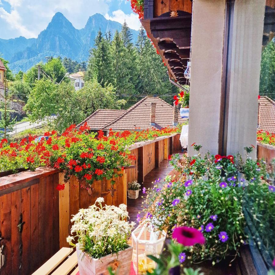 Amor Tirol Busteni (Adults Only) المظهر الخارجي الصورة