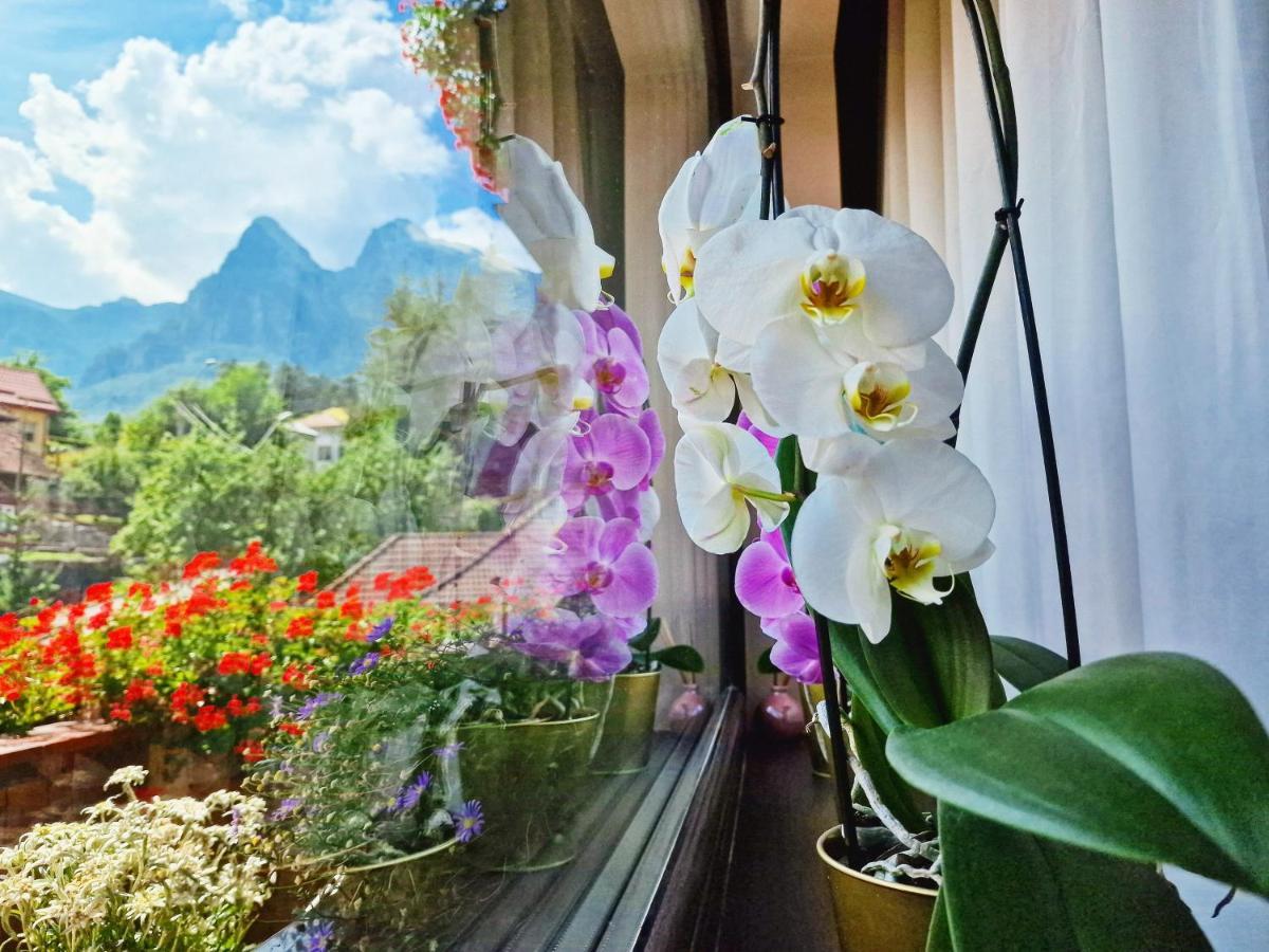 Amor Tirol Busteni (Adults Only) المظهر الخارجي الصورة