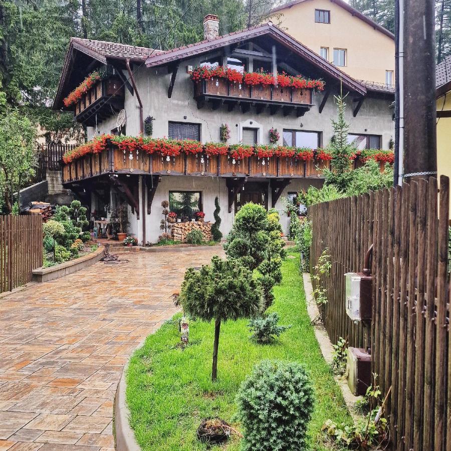 Amor Tirol Busteni (Adults Only) المظهر الخارجي الصورة