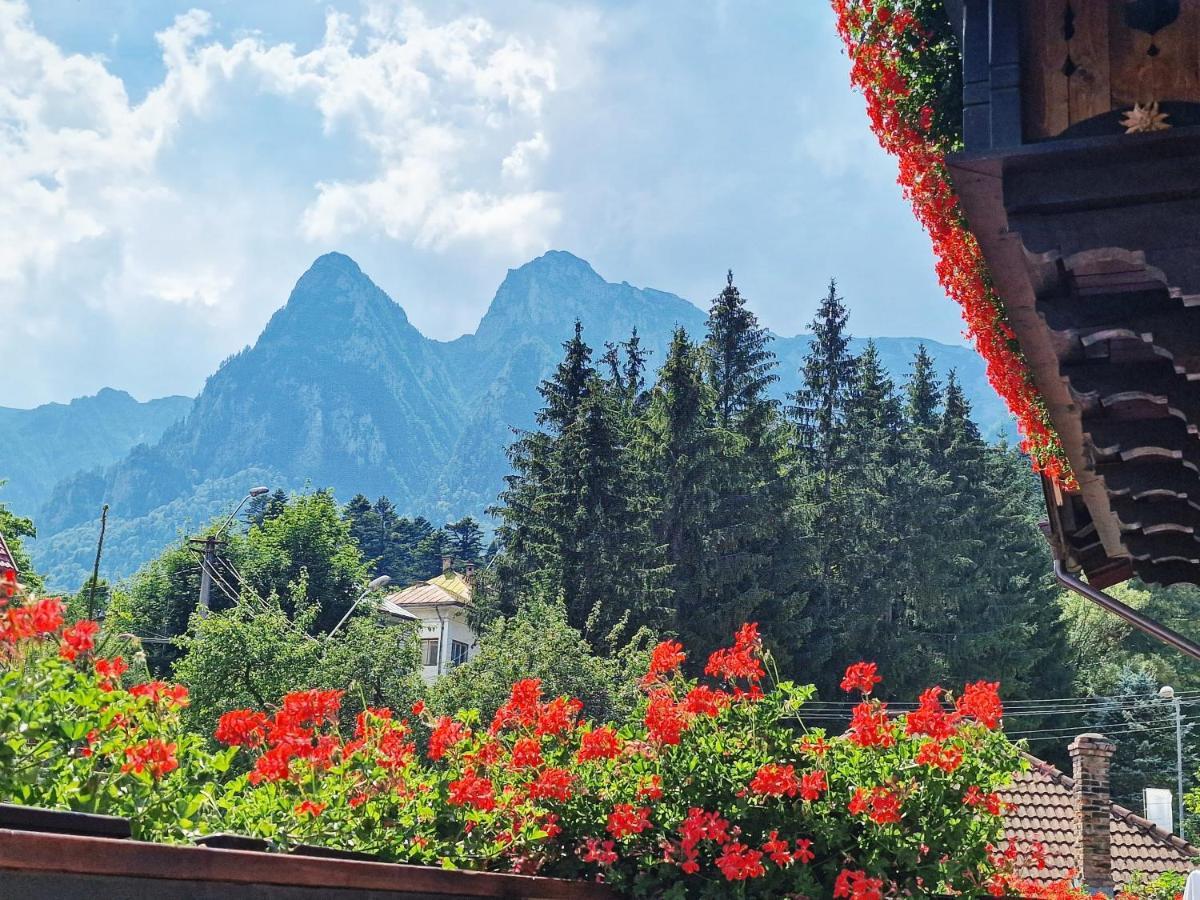 Amor Tirol Busteni (Adults Only) المظهر الخارجي الصورة