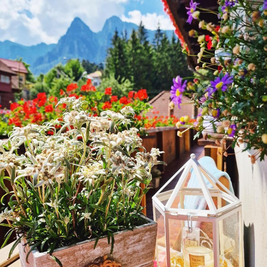Amor Tirol Busteni (Adults Only) المظهر الخارجي الصورة