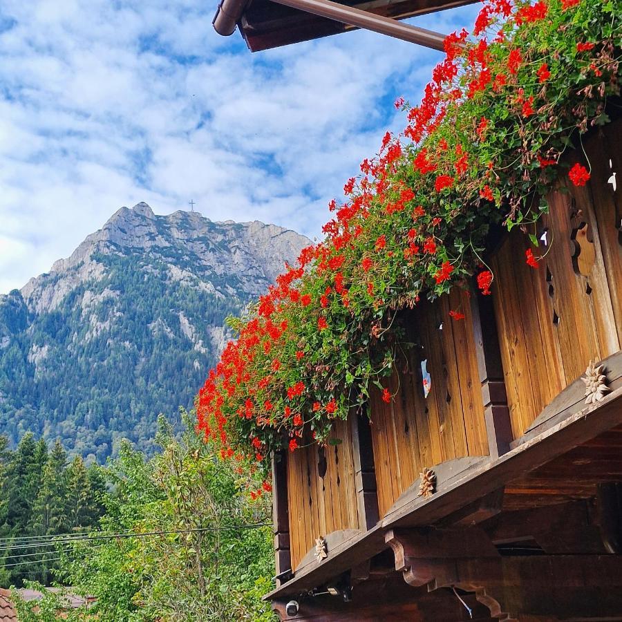 Amor Tirol Busteni (Adults Only) المظهر الخارجي الصورة