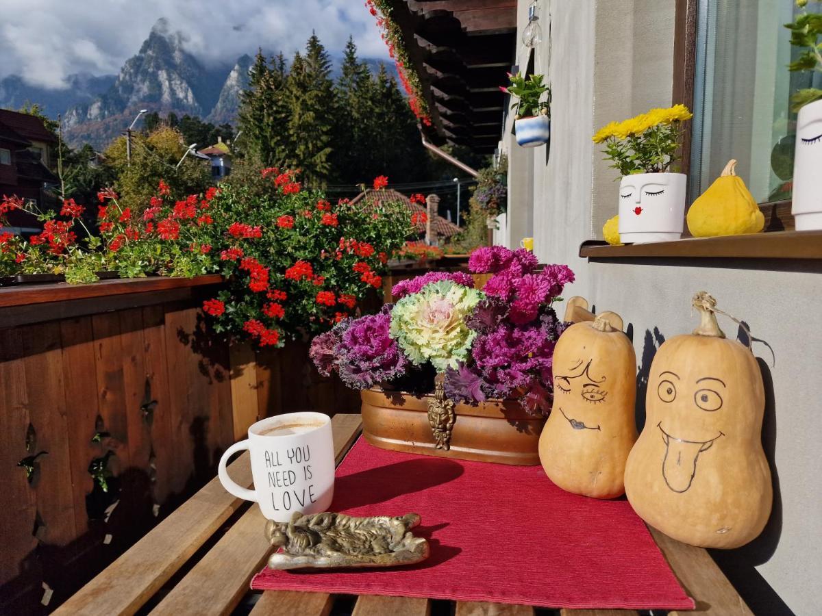 Amor Tirol Busteni (Adults Only) المظهر الخارجي الصورة