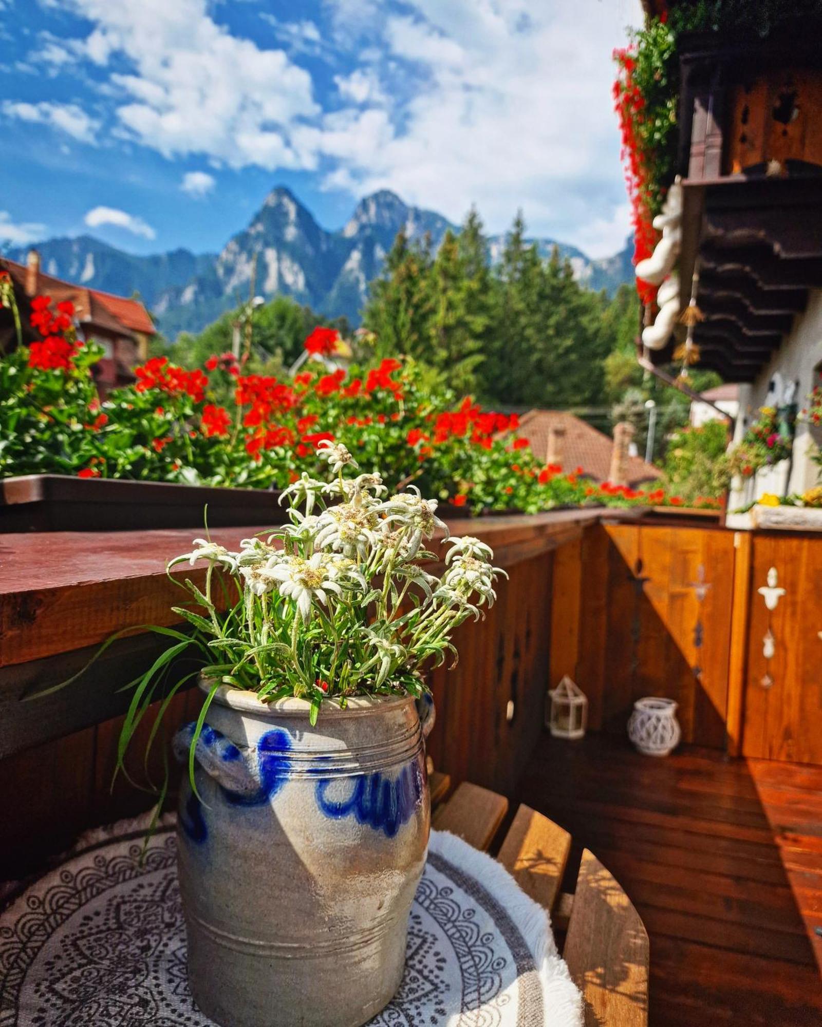 Amor Tirol Busteni (Adults Only) المظهر الخارجي الصورة